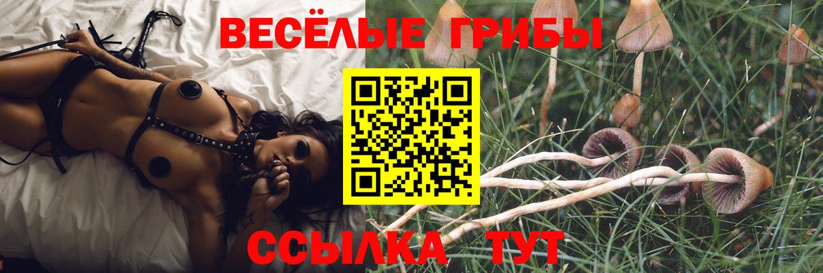 Псилоцибиновые грибы мухоморы  Вход с VPN  Назрань 